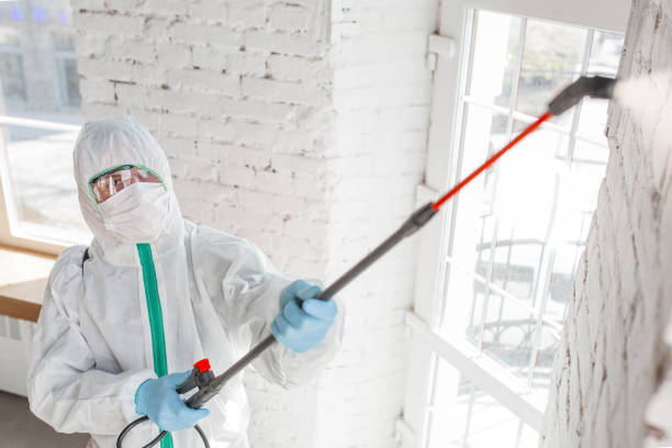 Best Emergency Mold Remediation  in Sharon, PA