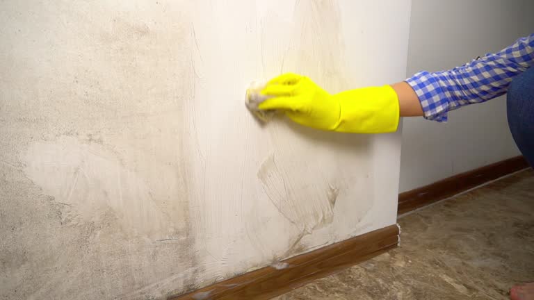 Best Commercial Mold Inspection  in Sharon, PA